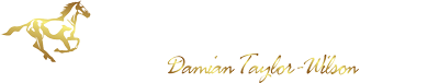 Softrack Surfaces logo
